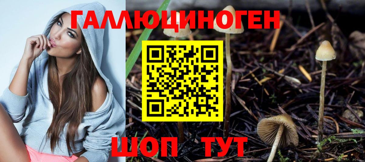 Галлюциногенные грибы Psilocybine cubensis  купить наркотики сайты  Владикавказ  Вход с VPN  Галлюциногенные грибы ЛСД 