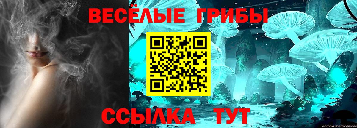 Галлюциногенные грибы Psilocybine cubensis Владикавказ